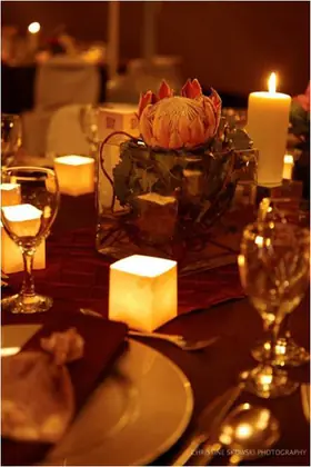 Platinum Events Namibia décor showcase
