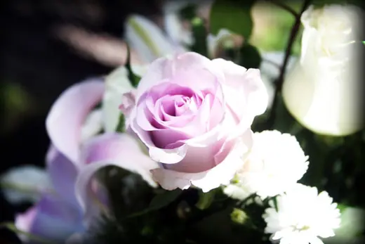 Platinum Events Namibia flower arrangements showcase